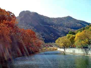 管家婆免费正版资起大全，四川日报广告部电话